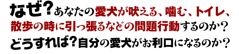 犬のしつけ※カリスマ訓練士・藤井聡