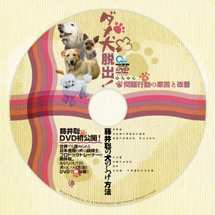 DVDR