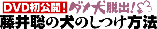藤井聡の犬のしつけDVD