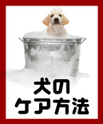 摜̖O