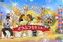 テレビ出演4